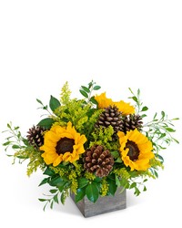 Harvest Sunburst from Olander Florist, fresh flower delivery in Chicago